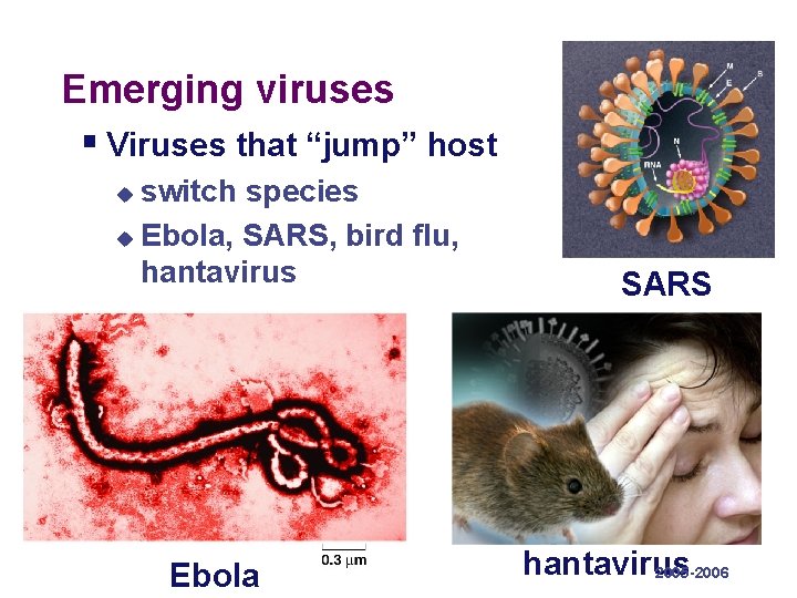 Emerging viruses § Viruses that “jump” host switch species u Ebola, SARS, bird flu,