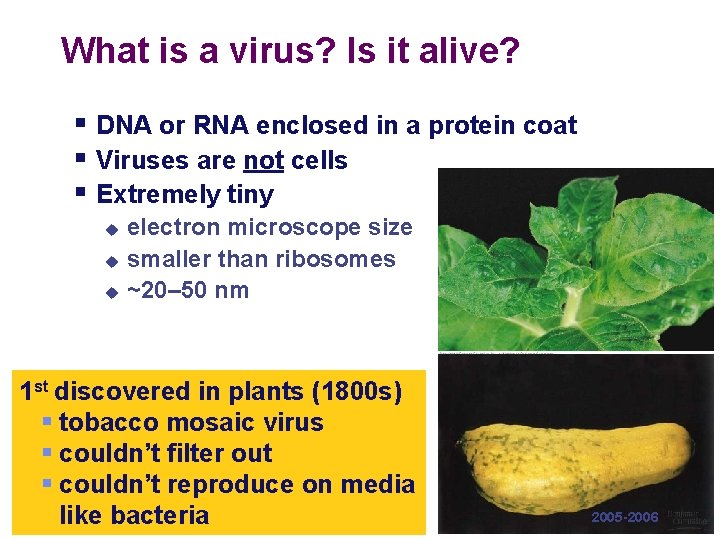 What is a virus? Is it alive? § DNA or RNA enclosed in a