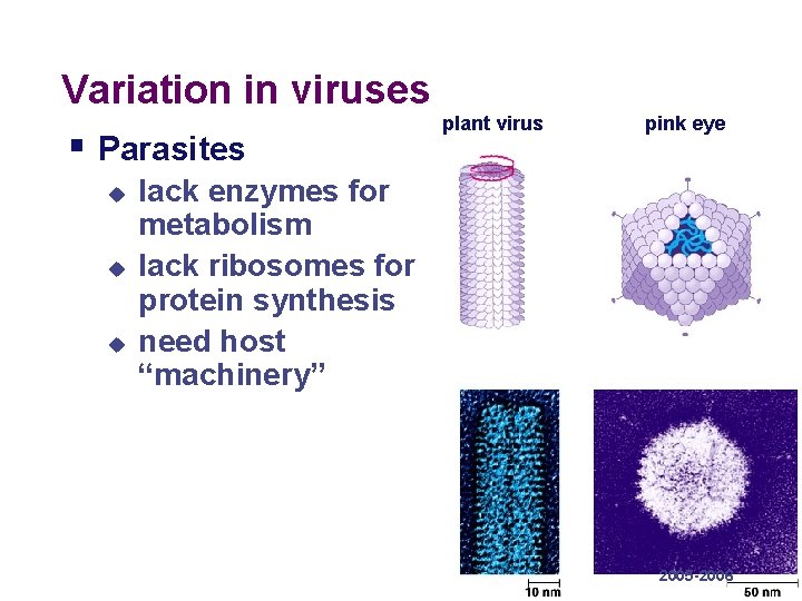 Variation in viruses plant virus § Parasites u u u pink eye lack enzymes