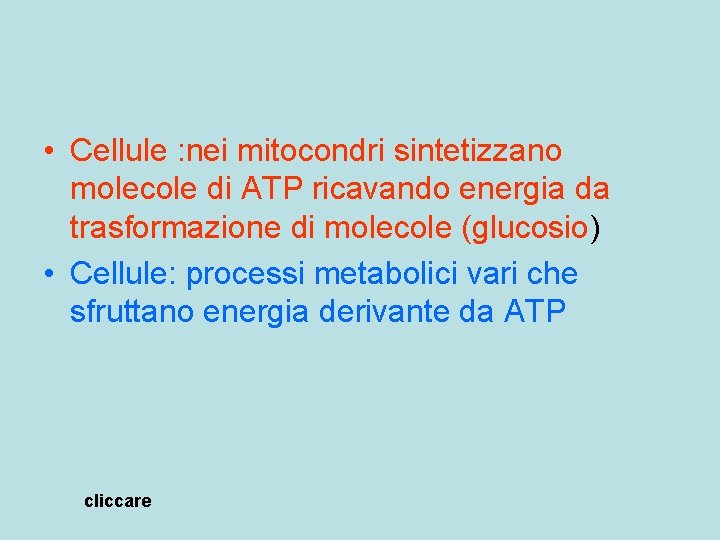  • Cellule : nei mitocondri sintetizzano molecole di ATP ricavando energia da trasformazione