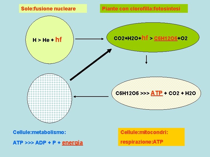 Sole: fusione nucleare H > He + hf Piante con clorofilla: fotosintesi CO 2+H