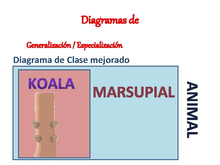 Diagramas de Generalización / Especialización Diagrama de Clase mejorado ANIMAL MARSUPIAL 