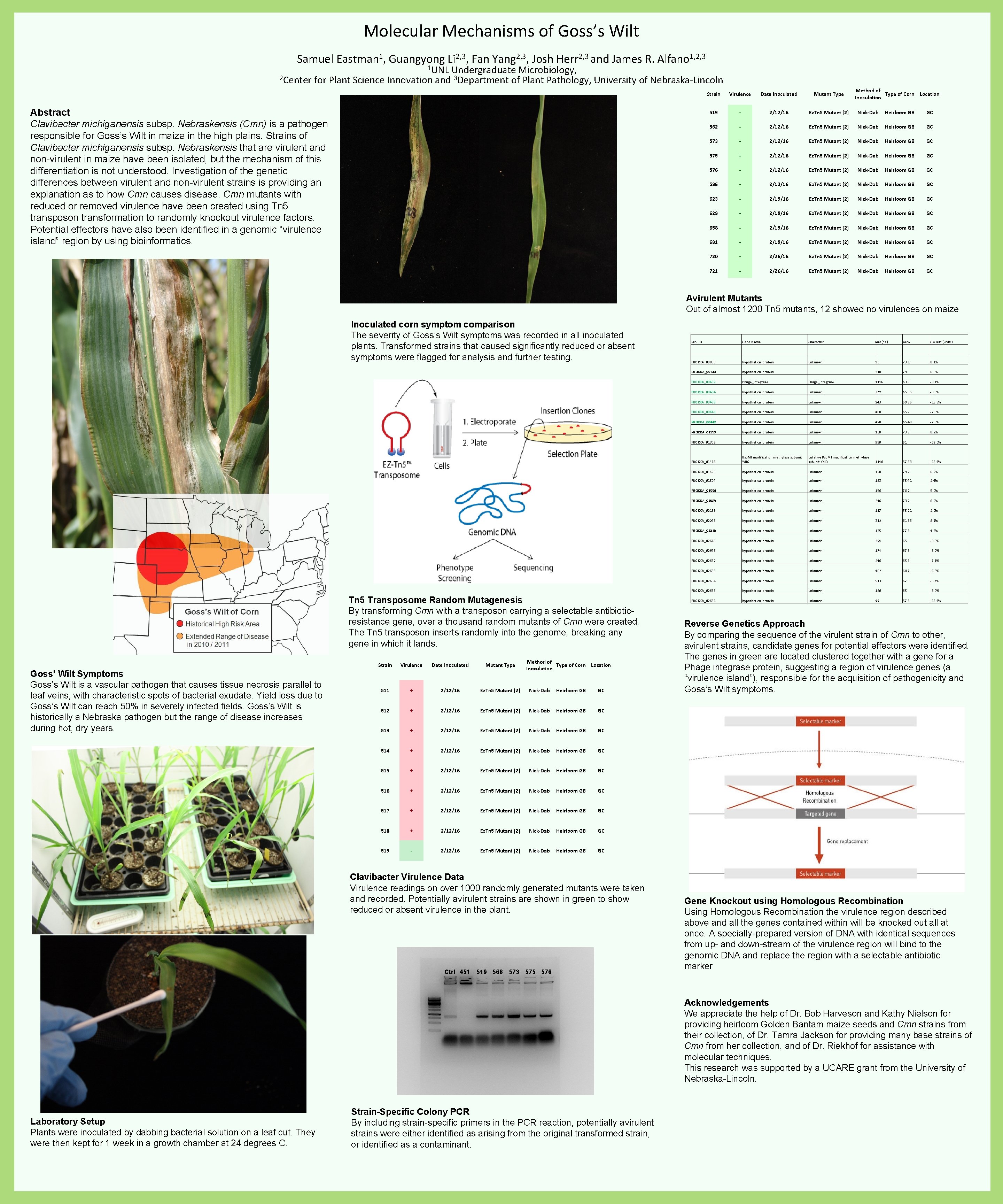 Molecular Mechanisms of Goss’s Wilt Samuel Eastman 1, Guangyong Li 2, 3, Fan Yang