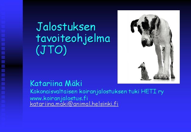 Jalostuksen tavoiteoh tavoiteo jelma (JTO) Katariina Mäki Kokonaisvaltaisen koiranjalostuksen tuki HETI ry www. koiranjalostus.