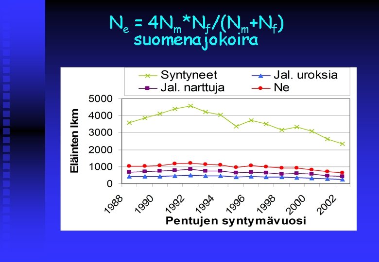 Ne = 4 Nm*Nf/(Nm+Nf) suomenajokoira 