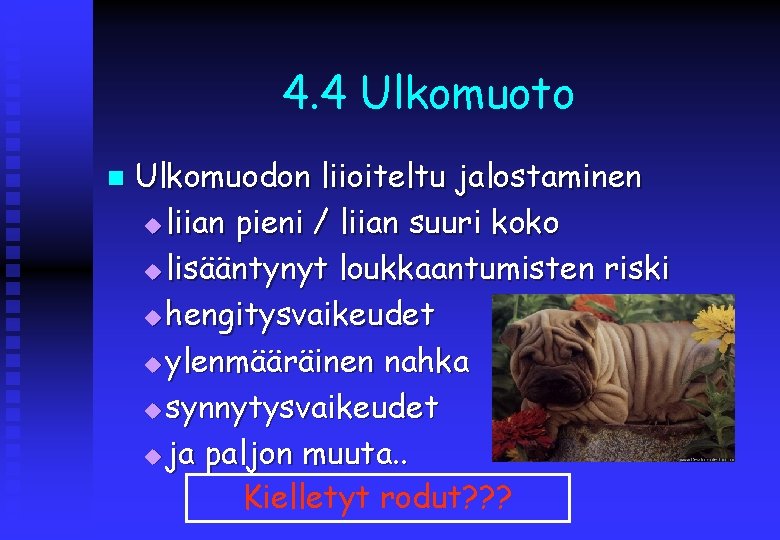 4. 4 Ulkomuoto n Ulkomuodon liioiteltu jalostaminen u liian pieni / liian suuri koko