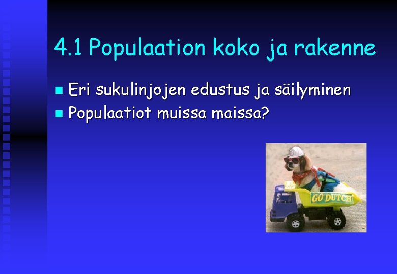4. 1 Populaation koko ja rakenne Eri sukulinjojen edustus ja säilyminen n Populaatiot muissa