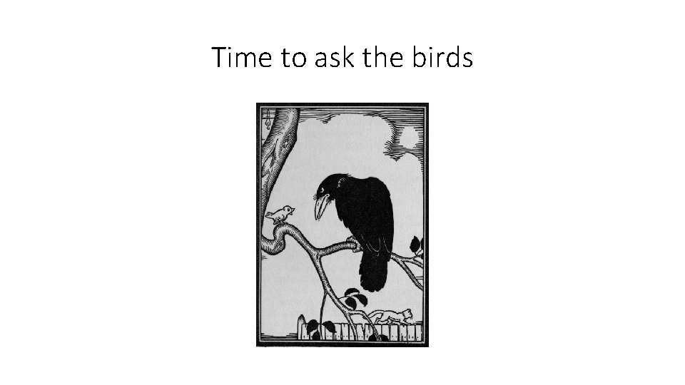 Time to ask the birds 