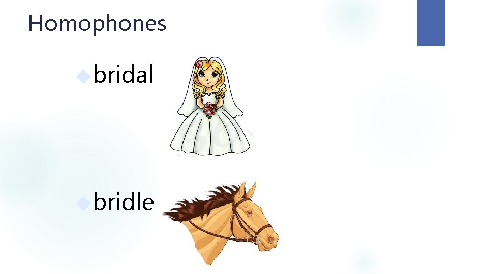 Homophones bridal bridle 