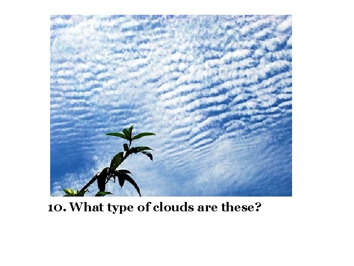 10. What type of clouds are these? 