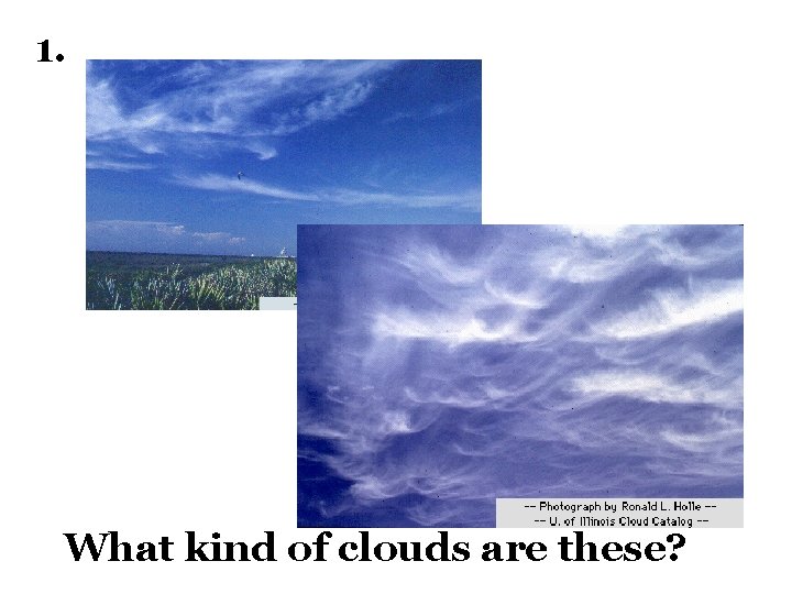 1. What kind of clouds are these? 