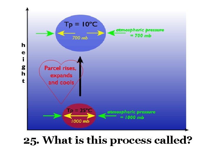 25. What is this process called? 