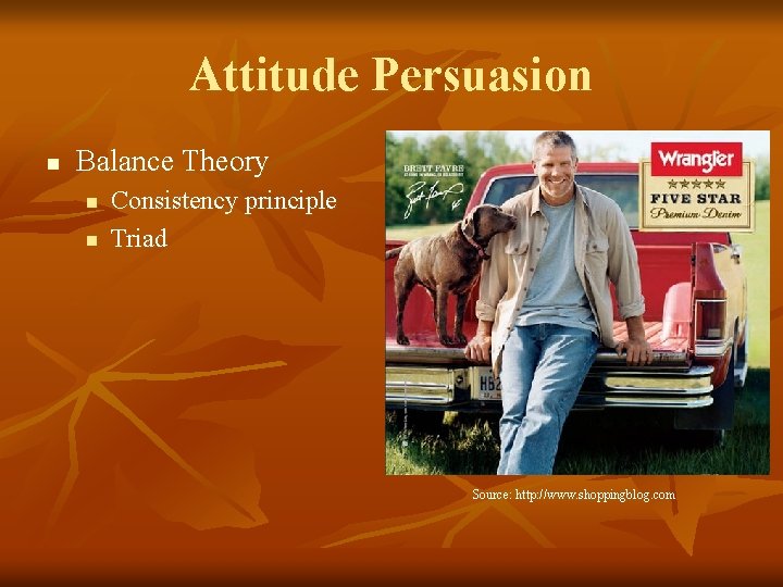 Attitude Persuasion n Balance Theory n n Consistency principle Triad Source: http: //www. shoppingblog.
