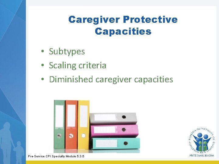 Caregiver Protective Capacities • Subtypes • Scaling criteria • Diminished caregiver capacities Pre-Service CPI