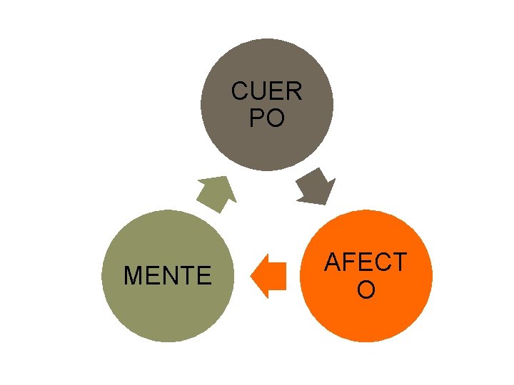 CUER PO MENTE AFECT O 