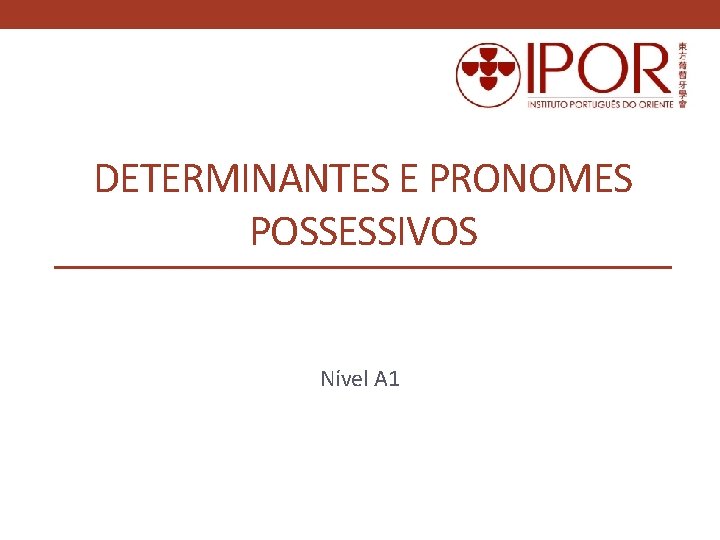 DETERMINANTES E PRONOMES POSSESSIVOS Nível A 1 