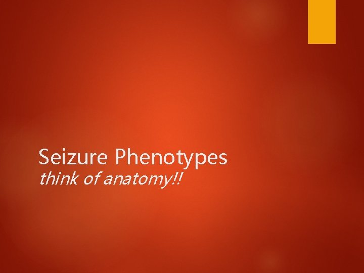 Seizure Phenotypes think of anatomy!! 