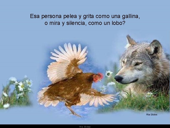 Esa persona pelea y grita como una gallina, o mira y silencia, como un Esa persona pelea y grita como una gallina, o mira y silencia, como un