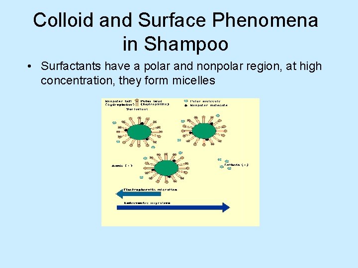Colloid and Surface Phenomena in Shampoo • Surfactants have a polar and nonpolar region,