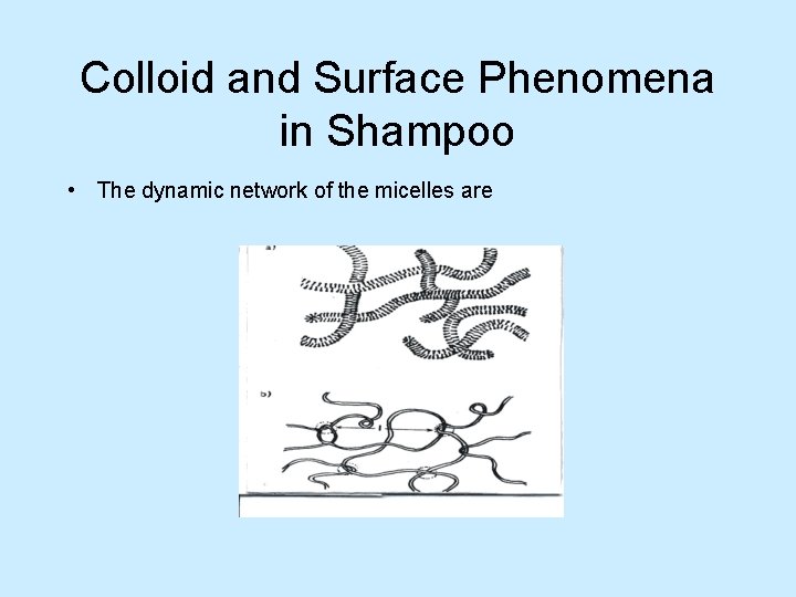Colloid and Surface Phenomena in Shampoo • The dynamic network of the micelles are