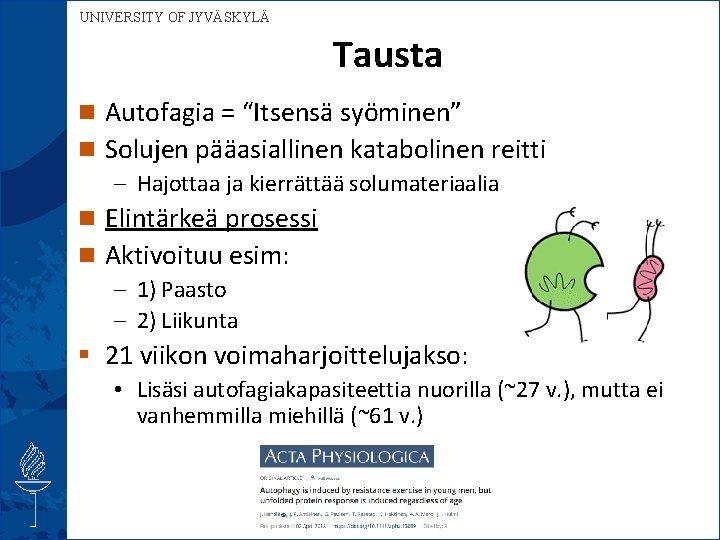 UNIVERSITY OF JYVÄSKYLÄ Tausta Autofagia = “Itsensä syöminen” Solujen pääasiallinen katabolinen reitti – Hajottaa