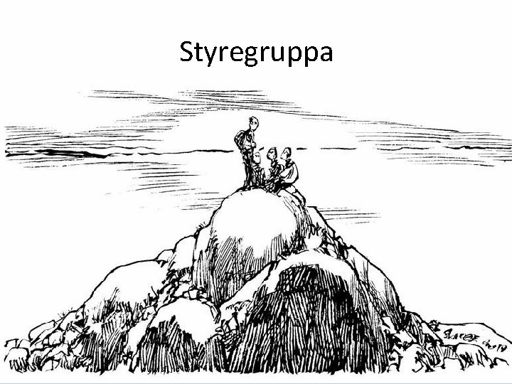 Styregruppa www. sfj. no Styregruppa www. sfj. no