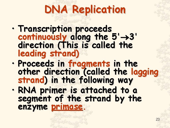 DNA Replication • Transcription proceeds continuously along the 5' 3' direction (This is called