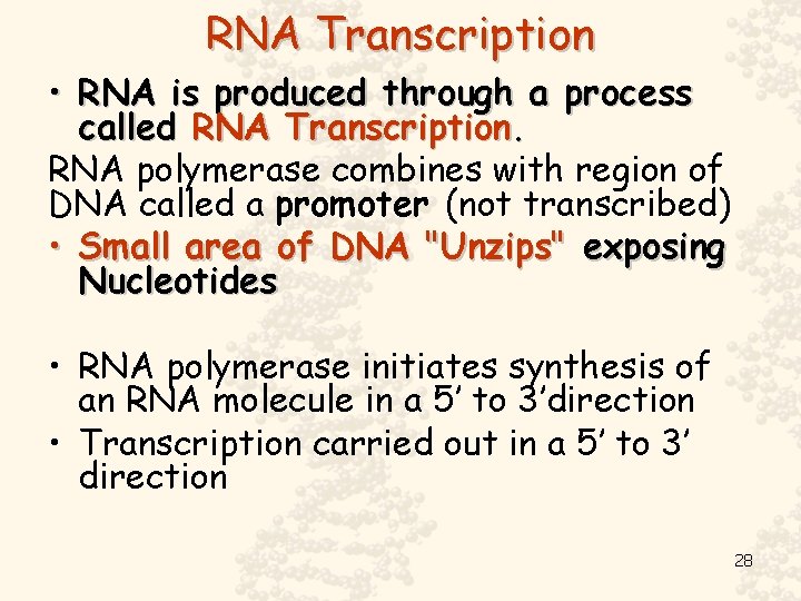 RNA Transcription • RNA is produced through a process called RNA Transcription. RNA polymerase