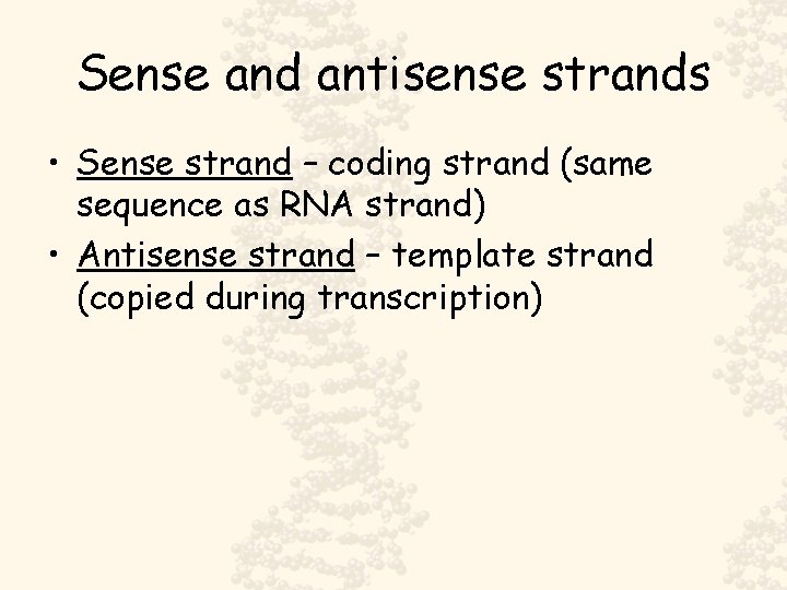 Sense and antisense strands • Sense strand – coding strand (same sequence as RNA