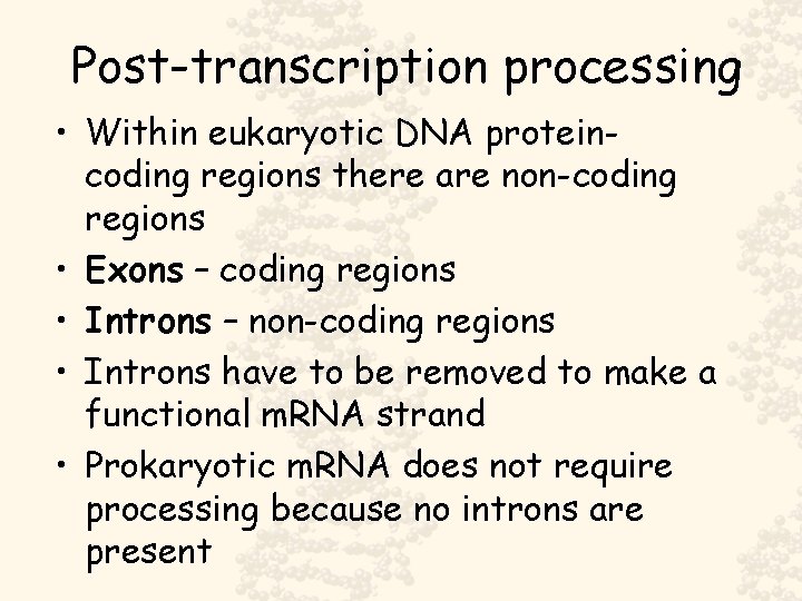 Post-transcription processing • Within eukaryotic DNA proteincoding regions there are non-coding regions • Exons