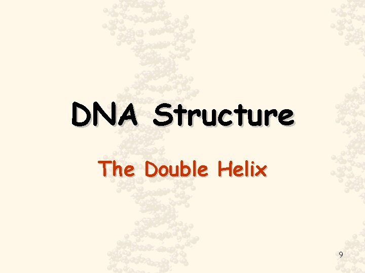 DNA Structure The Double Helix 9 