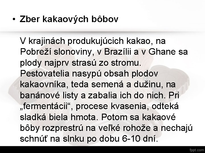 • Zber kakaových bôbov V krajinách produkujúcich kakao, na Pobreží slonoviny, v Brazílii • Zber kakaových bôbov V krajinách produkujúcich kakao, na Pobreží slonoviny, v Brazílii