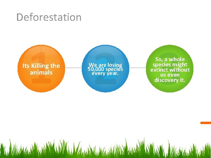 Deforestation 1 2 3 Its Killing the animals We are losing 50, 000 species