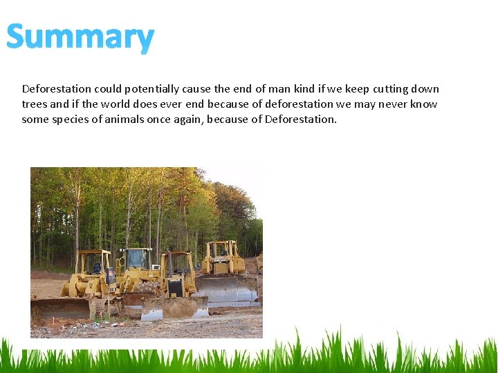 Summary Deforestation could potentially cause the end of man kind if we keep cutting