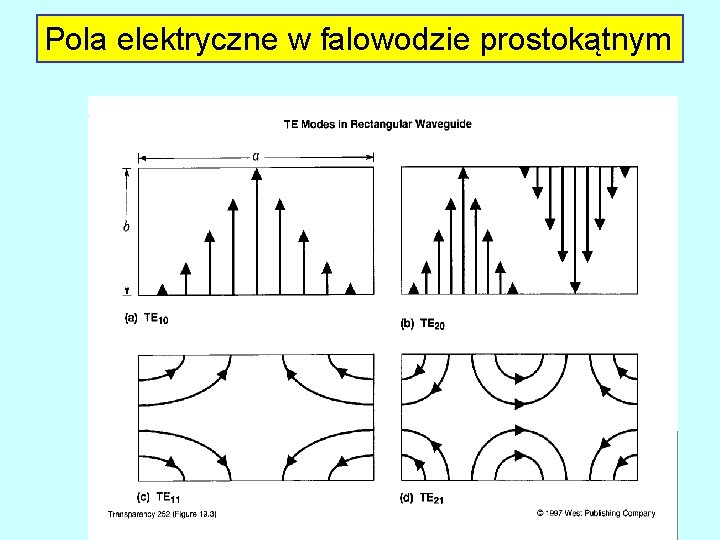 Pola elektryczne w falowodzie prostokątnym 