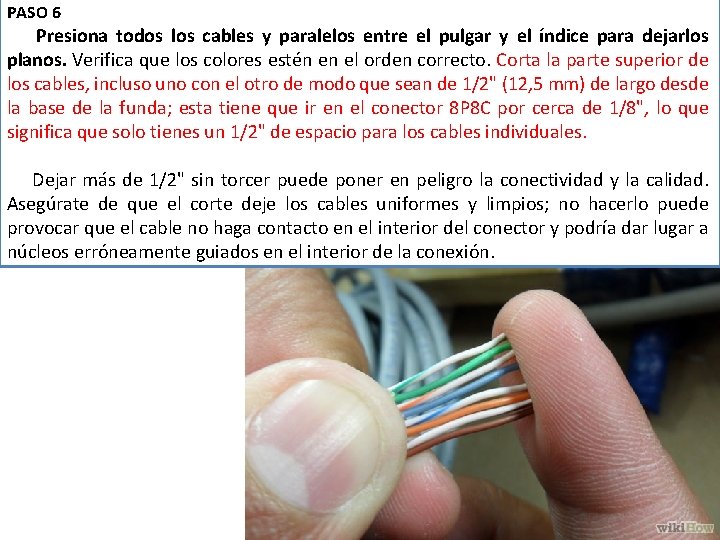 PASO 6 Presiona todos los cables y paralelos entre el pulgar y el índice