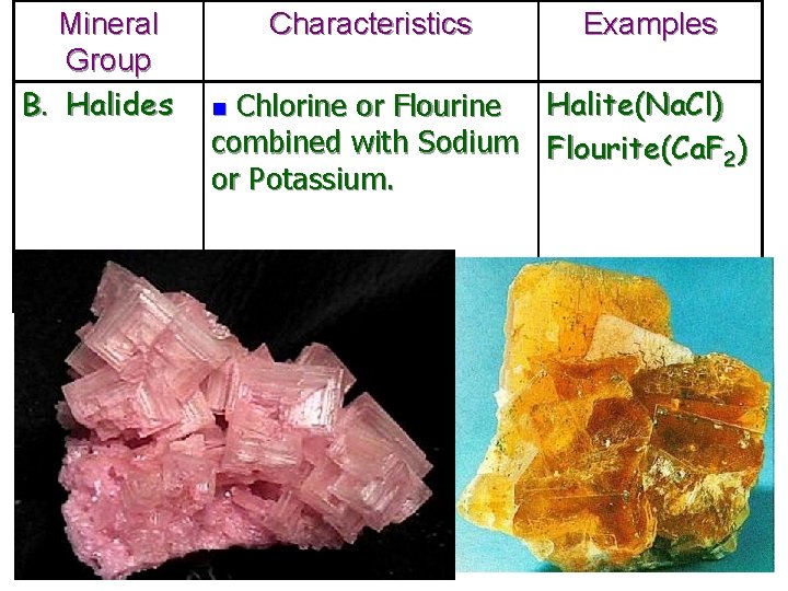 Mineral Group B. Halides Characteristics Examples Chlorine or Flourine Halite(Na. Cl) combined with Sodium