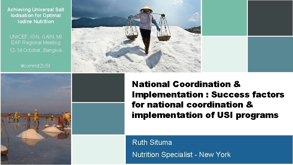 Achieving Universal Salt Iodisation for Optimal Iodine Nutrition UNICEF, IGN, GAIN, MI EAP Regional