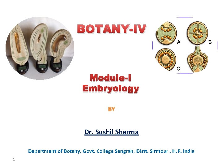 BOTANY-IV Module-I Embryology BY Dr. Sushil Sharma Department of Botany, Govt. College Sangrah, Distt.