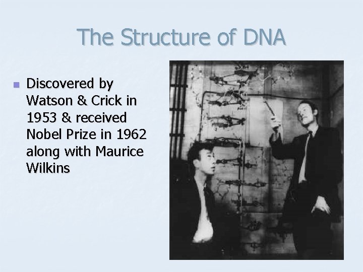 The Structure of DNA n Discovered by Watson & Crick in 1953 & received