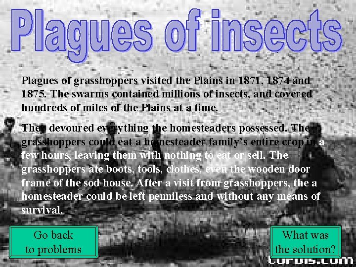 Plagues of grasshoppers visited the Plains in 1871, 1874 and 1875. The swarms contained