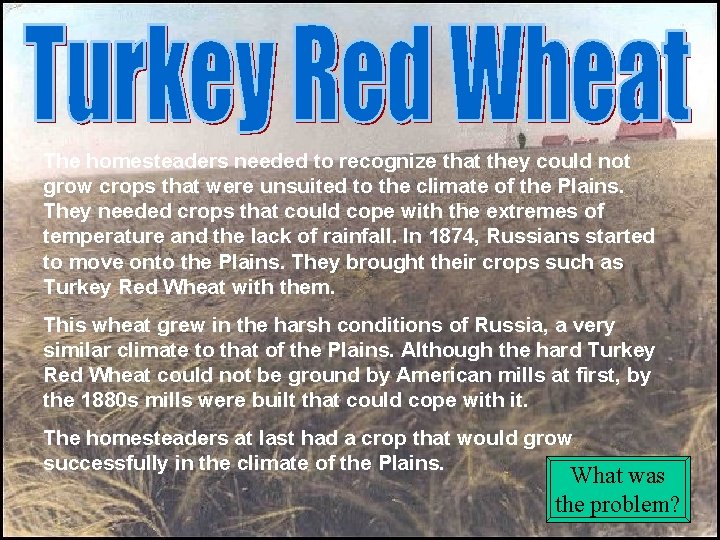 The homesteaders needed to recognize that they could not grow crops that were unsuited