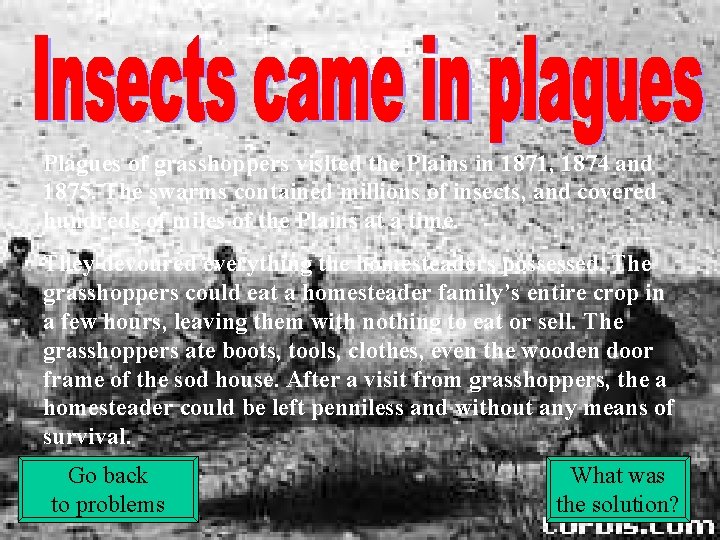 Plagues of grasshoppers visited the Plains in 1871, 1874 and 1875. The swarms contained