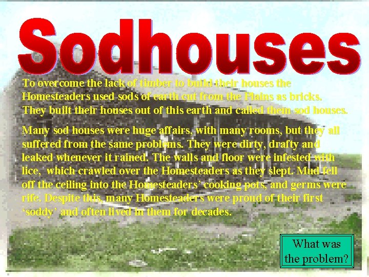 To overcome the lack of timber to build their houses the Homesteaders used sods