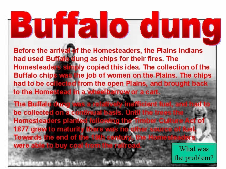Before the arrival of the Homesteaders, the Plains Indians had used Buffalo dung as