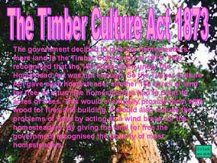 The government decided to give the homesteaders more land in the Timber Culture Act