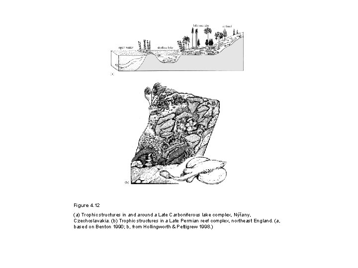 Figure 4. 12 (a) Trophic structures in and around a Late Carboniferous lake complex,