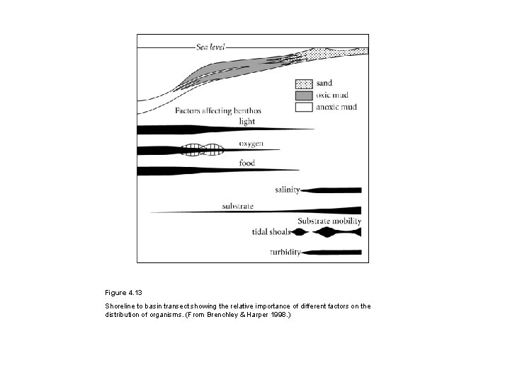Figure 4. 13 Shoreline to basin transect showing the relative importance of different factors