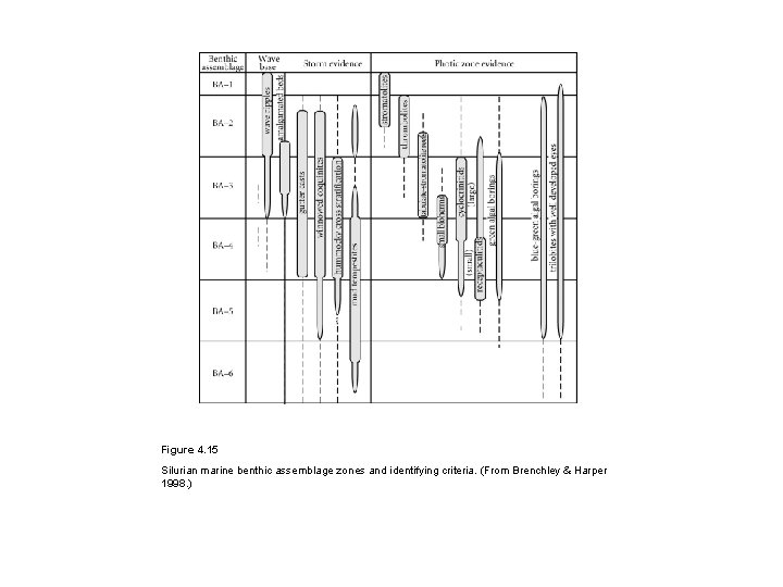 Figure 4. 15 Silurian marine benthic assemblage zones and identifying criteria. (From Brenchley &