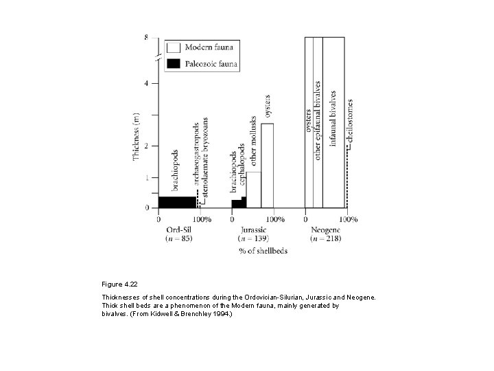 Figure 4. 22 Thicknesses of shell concentrations during the Ordovician-Silurian, Jurassic and Neogene. Thick